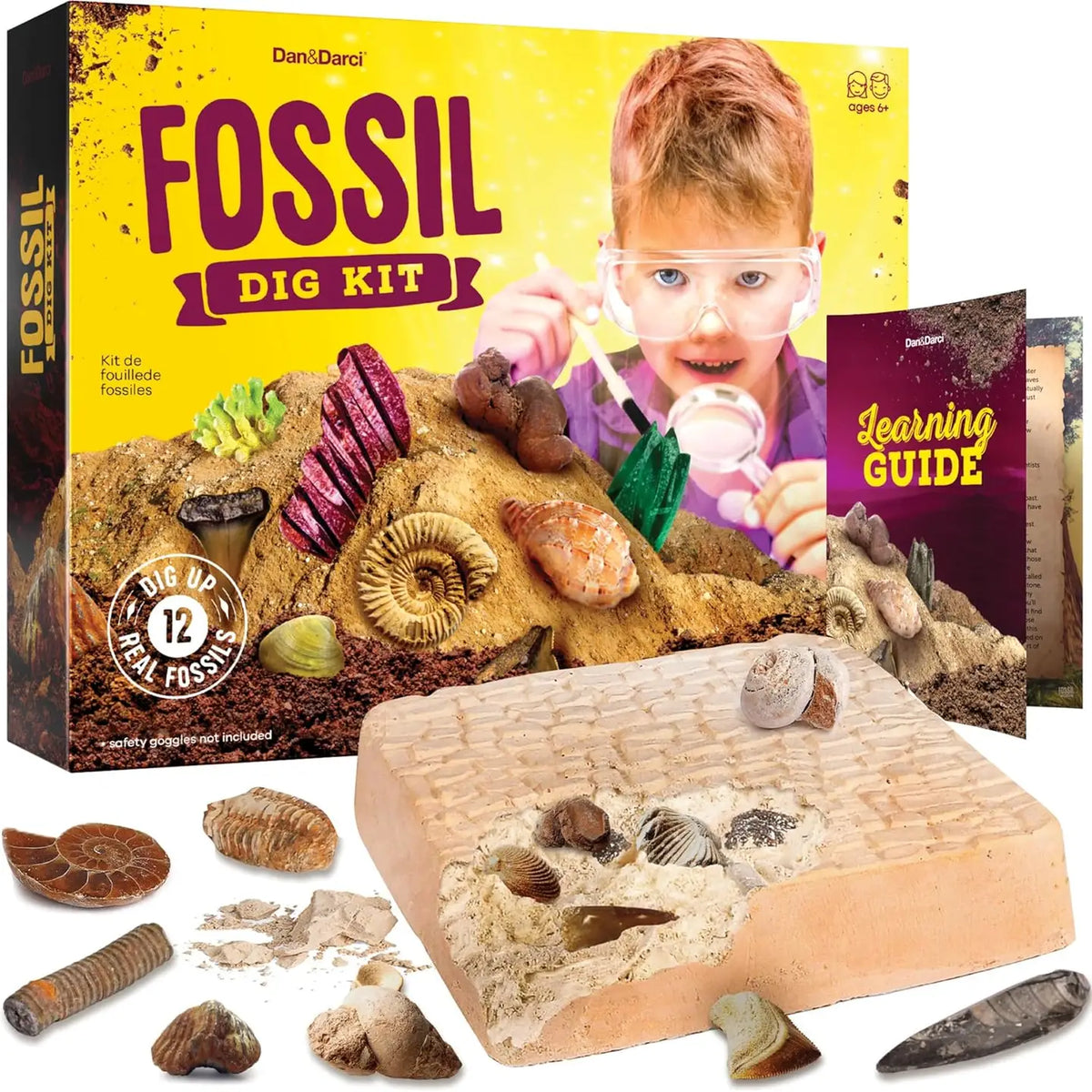Fossil dig kit with packaging, fossils, and learning guide on a white background