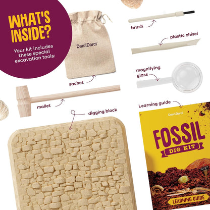 Fossil Dig Kit For Kids